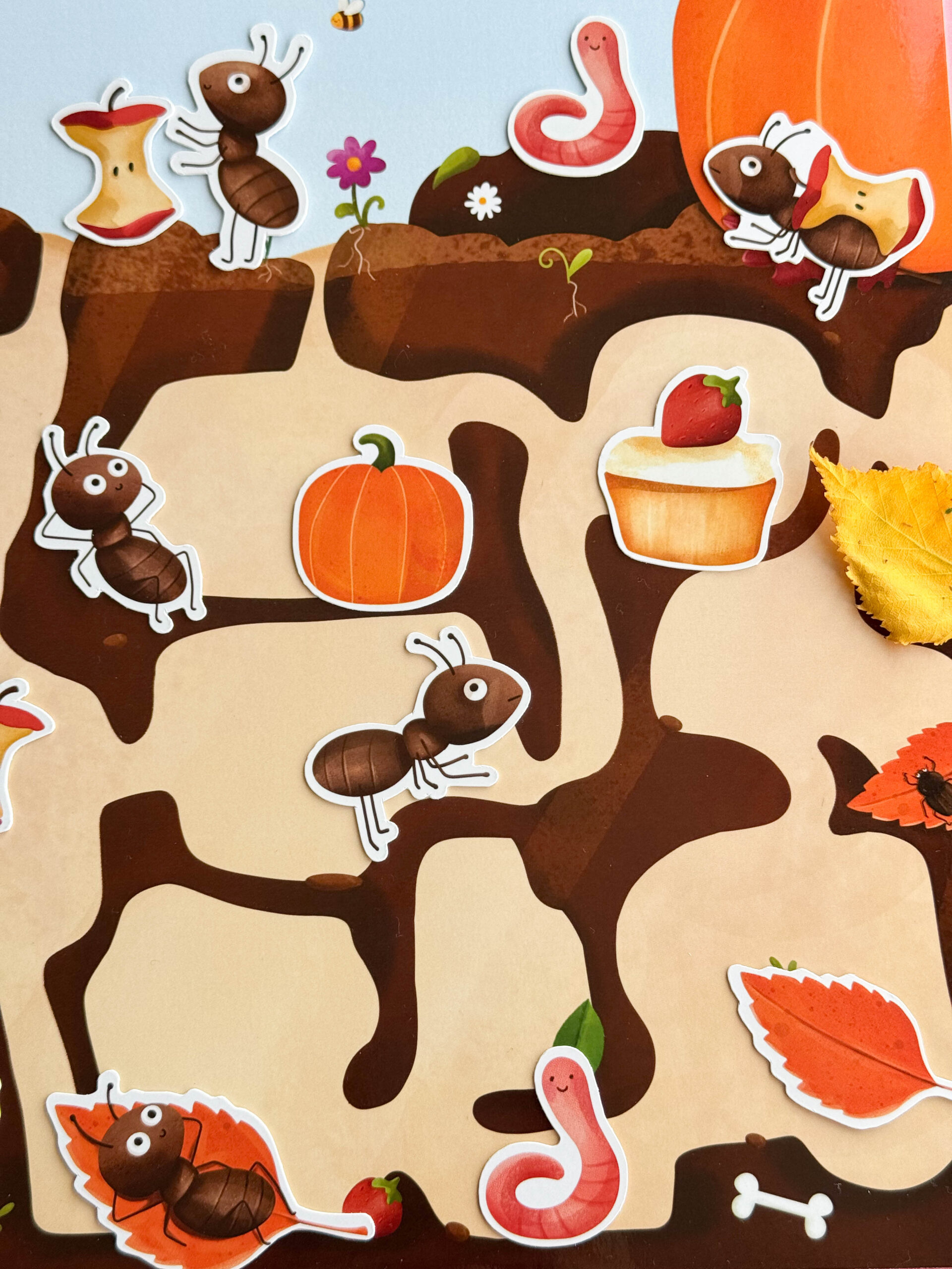 Mrowisko PACZKA z gotową zabawą - obrazek 10