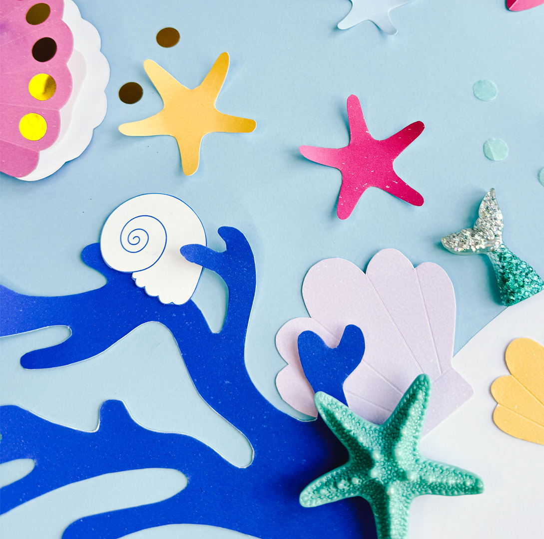 Muszelki i Wodorosty - obrazek 4